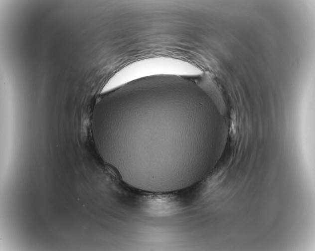 X0000087060235200705021223