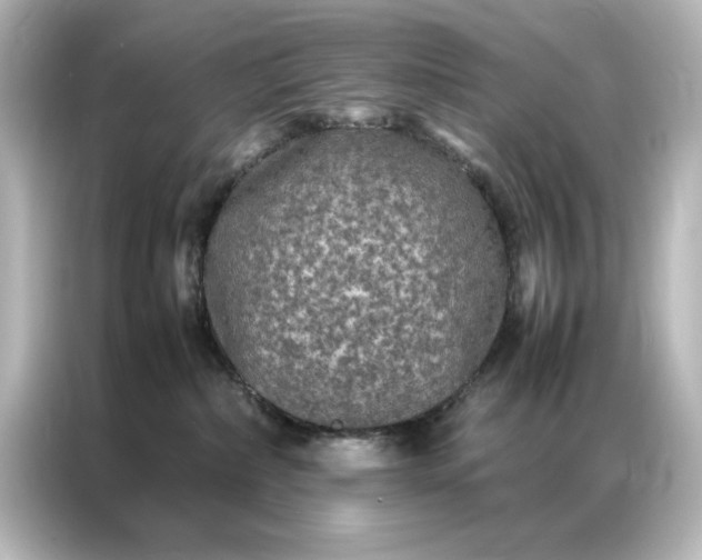 X0000087060236200705021223