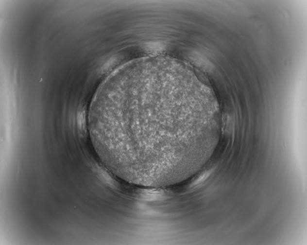 X0000087060238200705021223