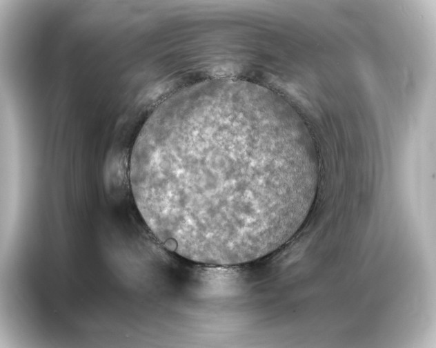 X0000087060240200705021223