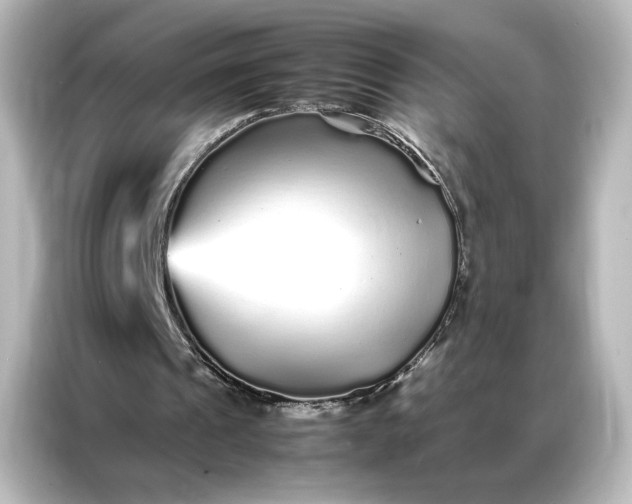 X0000087060241200705021222