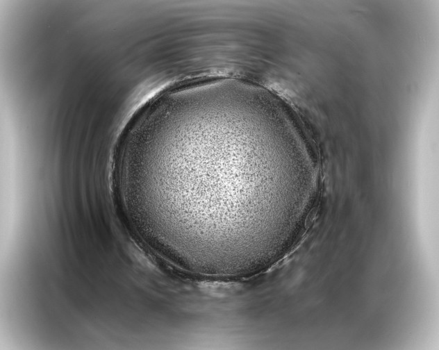 X0000087060242200705021222