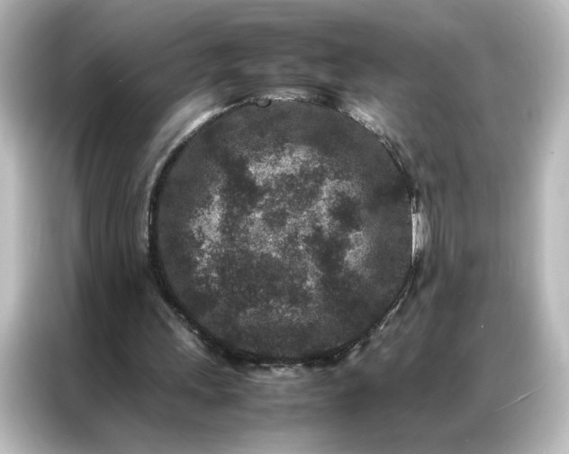 X0000087060243200705021222