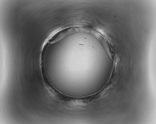 X0000087060244200705021222