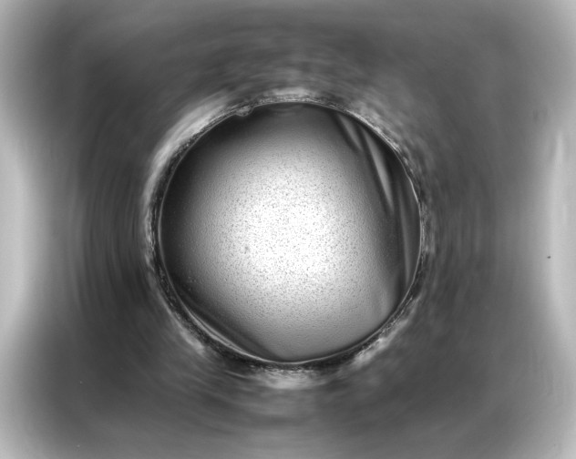 X0000087060245200705021222