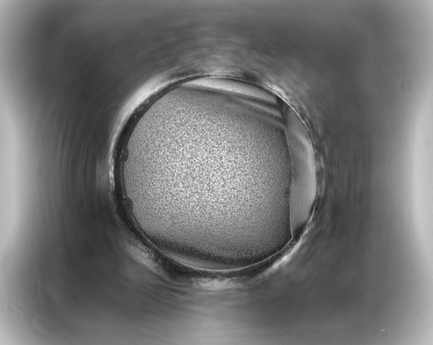 X0000087060246200705021222