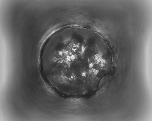 X0000087060247200705021222