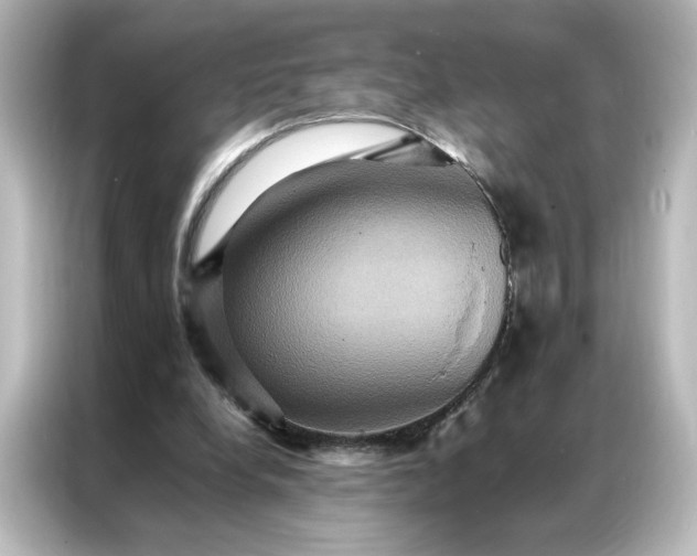 X0000087060248200705021222