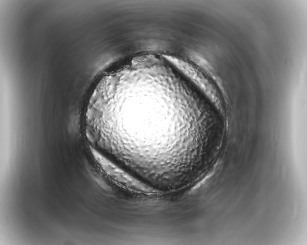 X0000087060249200705021222