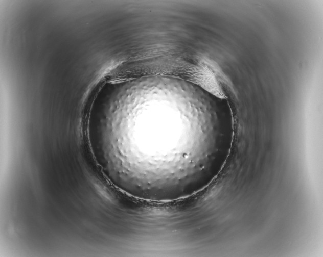 X0000087060250200705021222