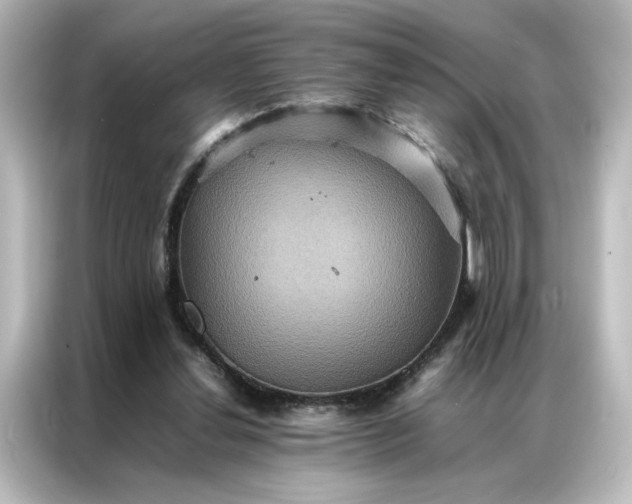 X0000087060252200705021222