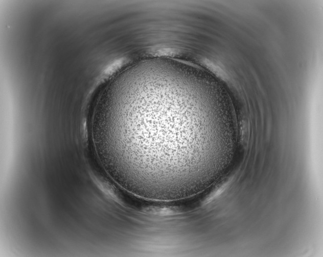 X0000087060254200705021222