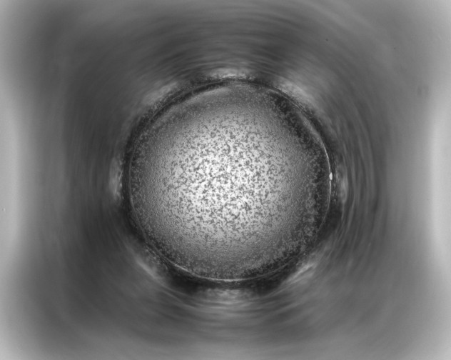 X0000087060255200705021222