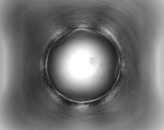 X0000087060257200705021222