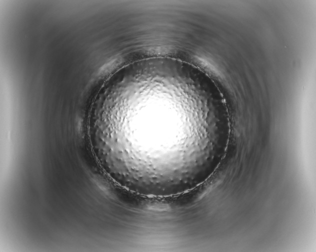 X0000087060258200705021222