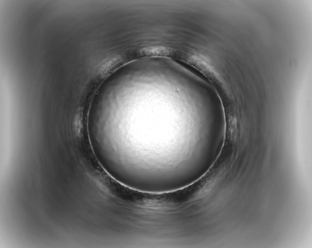 X0000087060259200705021222