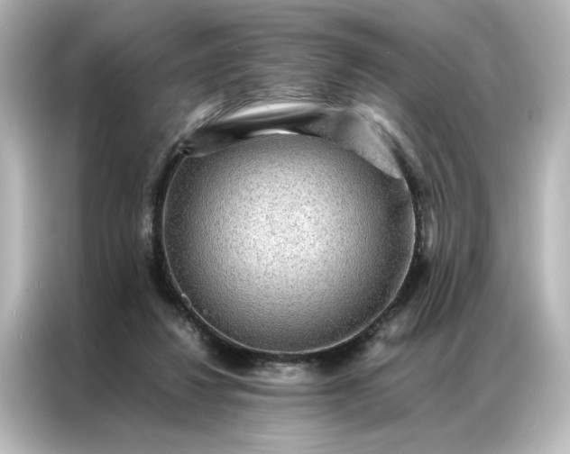 X0000087060260200705021222