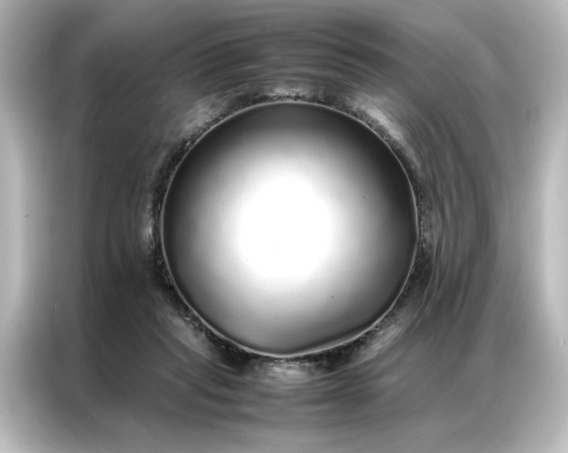 X0000087060261200705021222