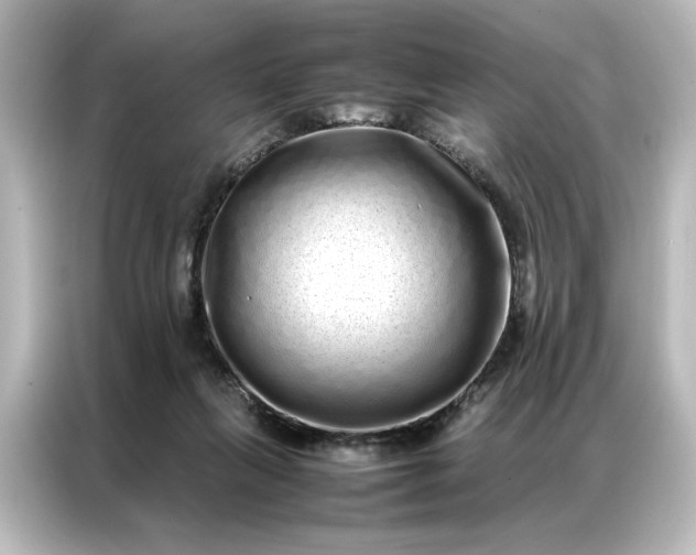 X0000087060263200705021223