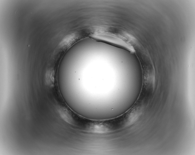 X0000087060264200705021223