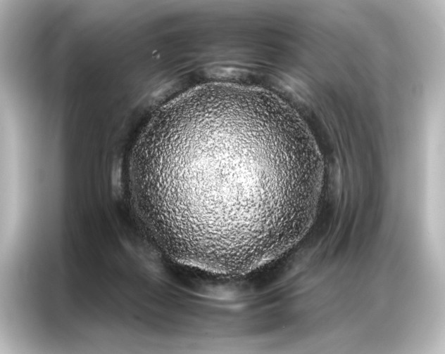 X0000087060267200705021223