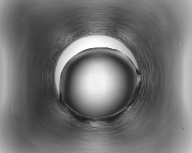 X0000087060268200705021223