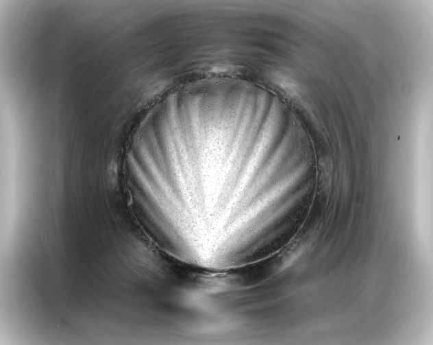 X0000087060269200705021223