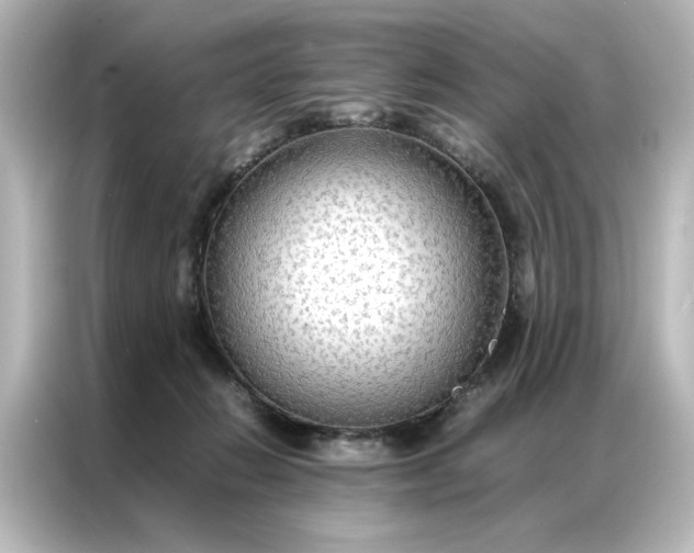 X0000087060270200705021223