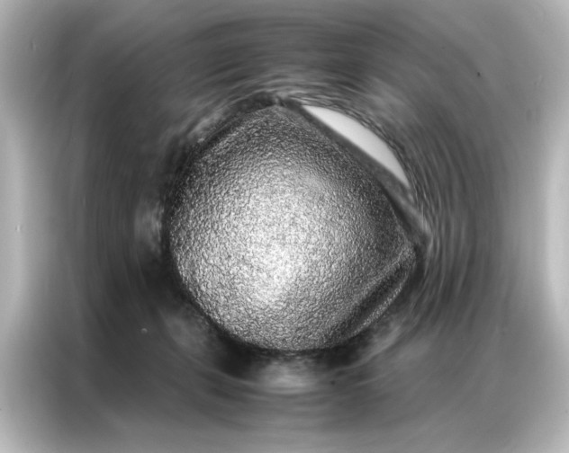 X0000087060271200705021223