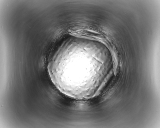 X0000087060273200705021223