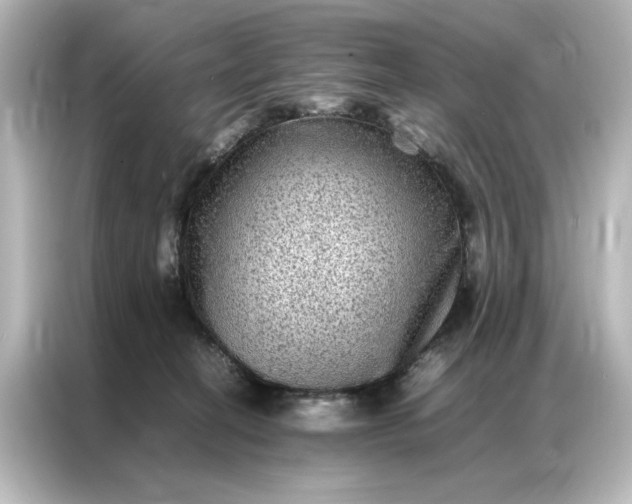 X0000087060274200705021223