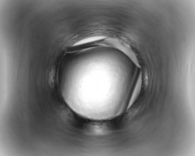 X0000087060275200705021223