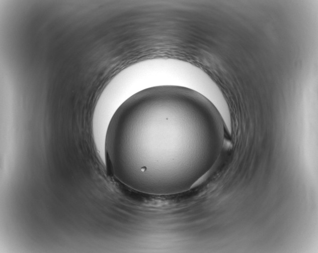 X0000087060276200705021223