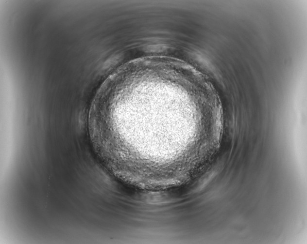 X0000087060277200705021223