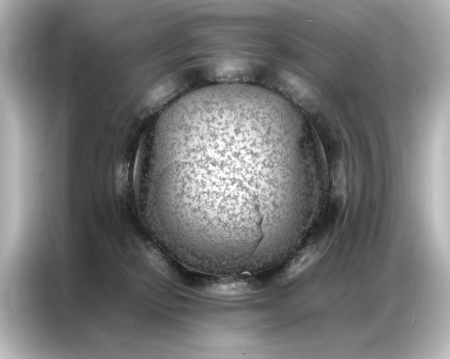 X0000087060278200705021223