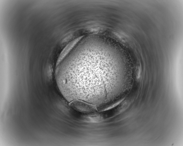 X0000087060279200705021223