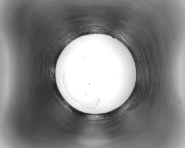 X0000087060281200705021223