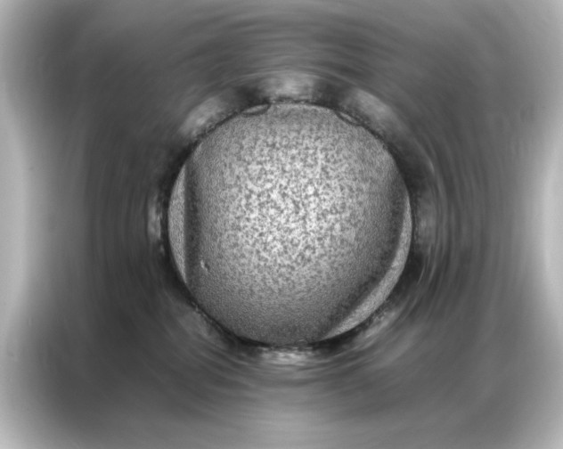 X0000087060282200705021223