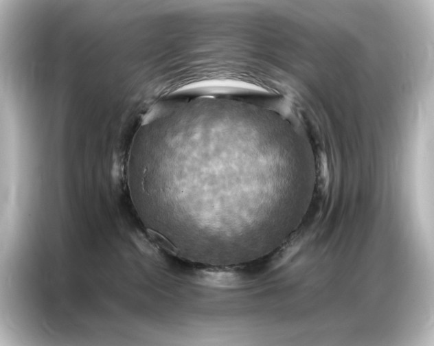 X0000087060284200705021223