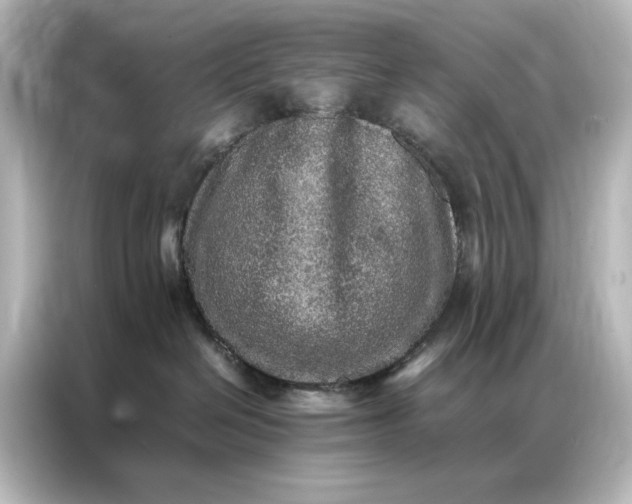 X0000087060286200705021223