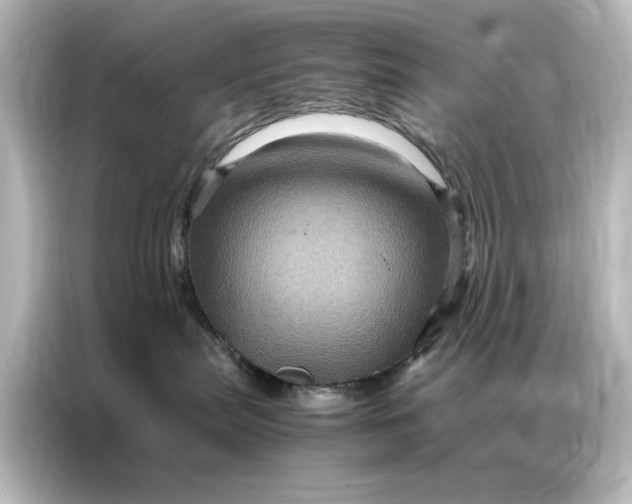 X0000087060287200705021223