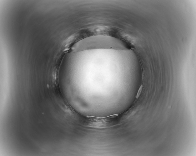 X0000087060288200705021223