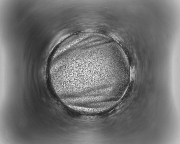 X0000087060291200705021222