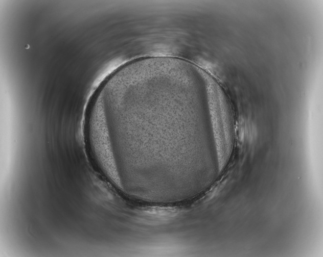 X0000087060292200705021222