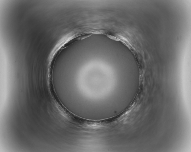 X0000087060293200705021222