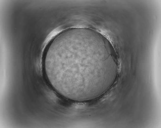 X0000087060296200705021222