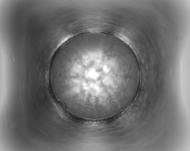 X0000087060297200705021222