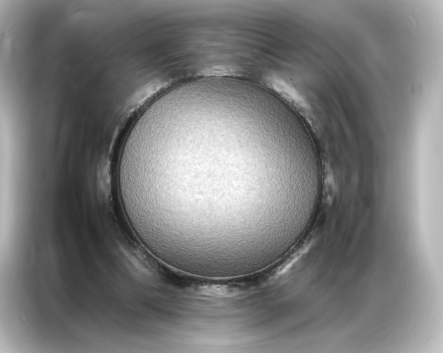 X0000087060298200705021222