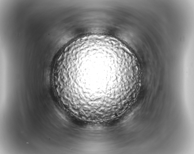 X0000087060299200705021222