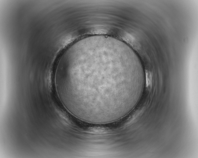 X0000087060300200705021222